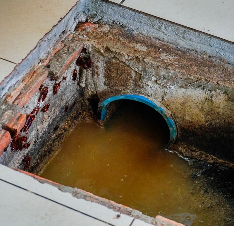 The Impact of Regular Grease Trap Maintenance on Plumbing Health