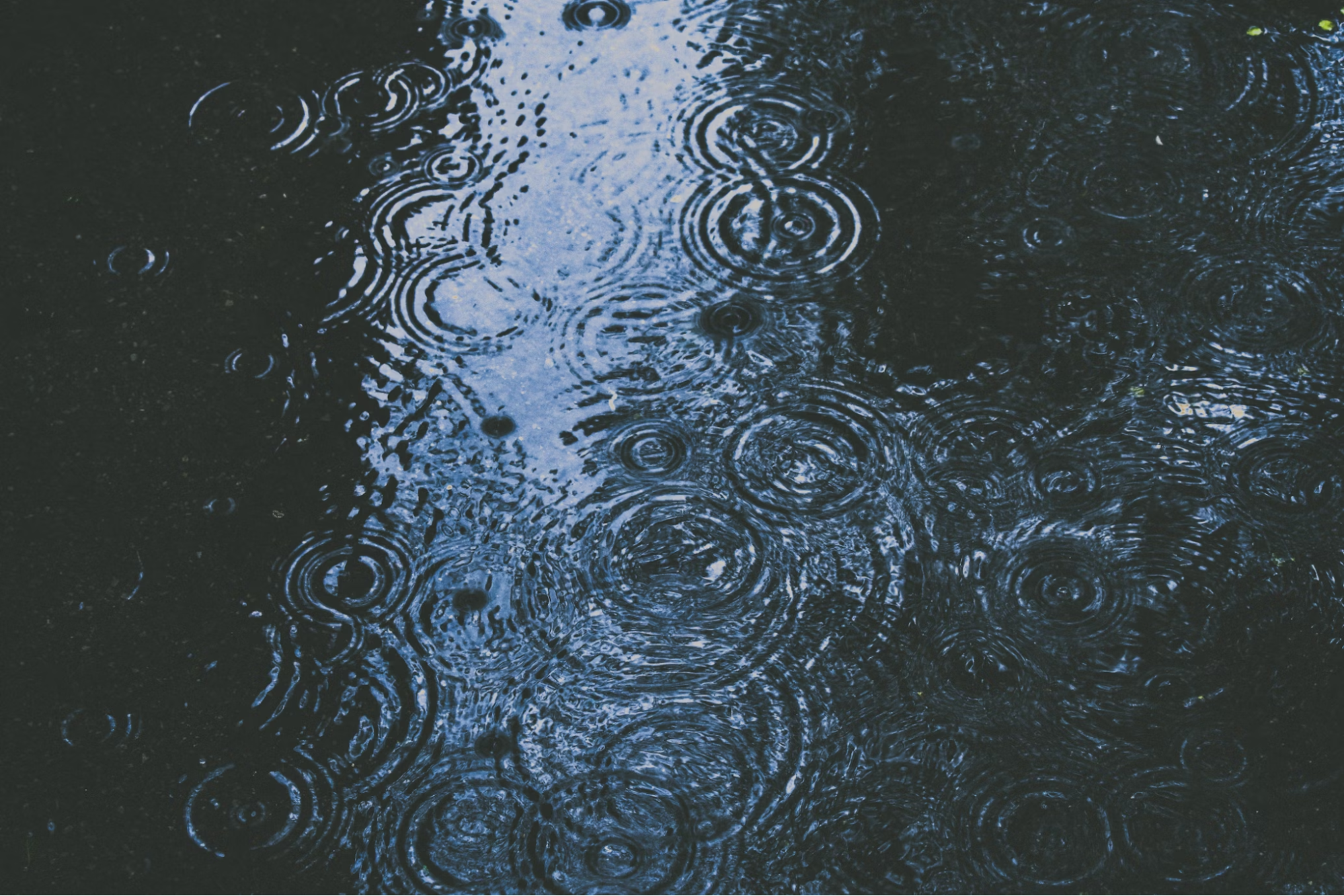 rain water